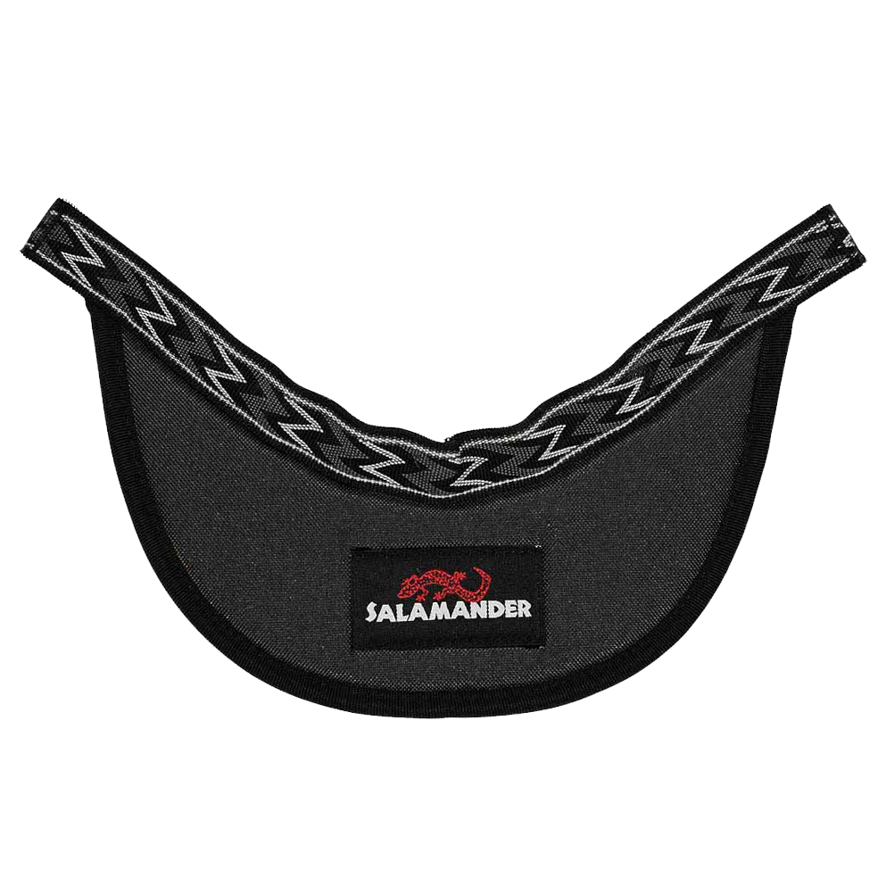Universal Helmet Visor