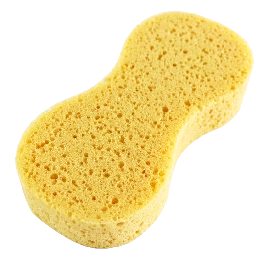 Sponge