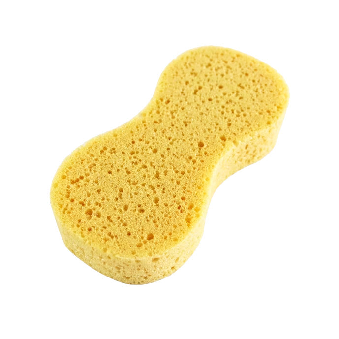 Sponge